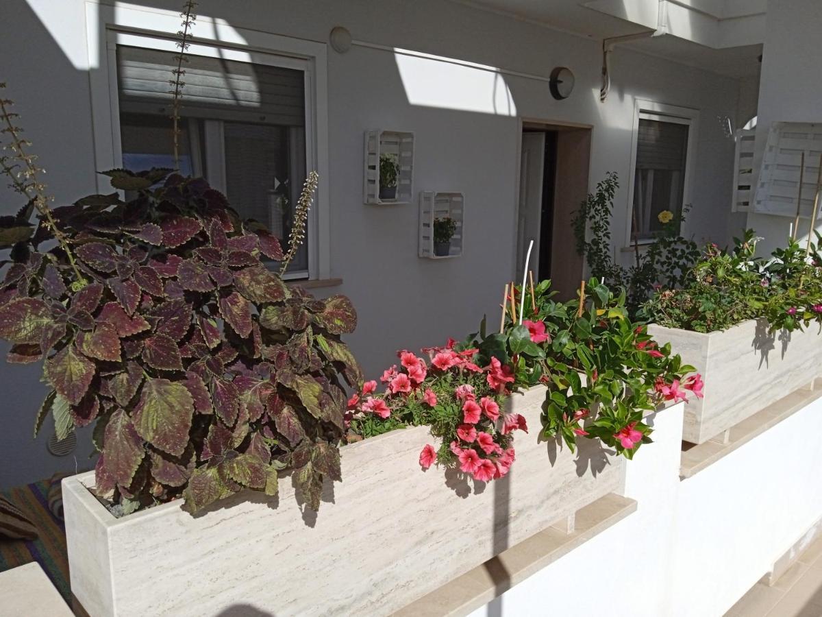 Apartamento La casa di Elena Sannicandro di Bari Exterior foto